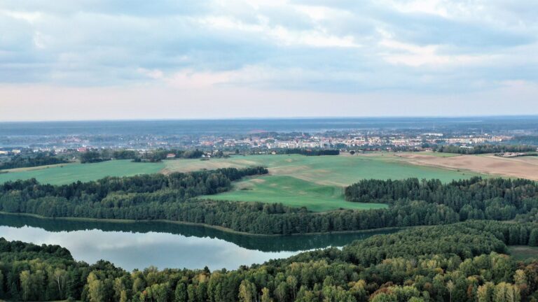 Czy miasto ma świadomość?