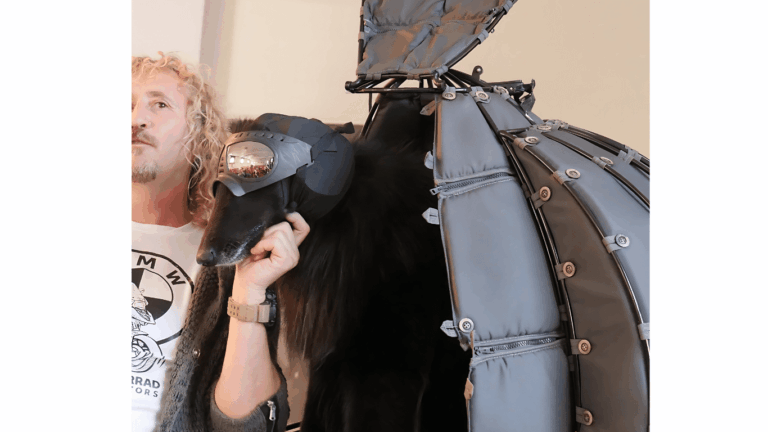 Niezwykłe podróże Jack&Dog: motocyklowe przygody z psem