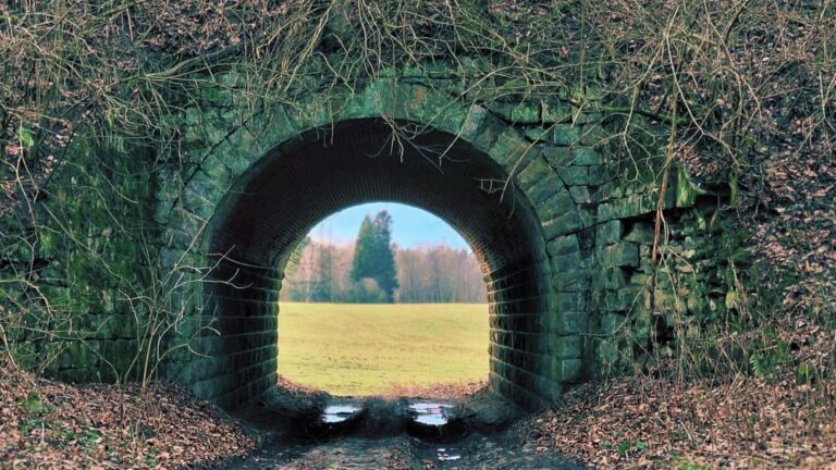 Sassenpile – ostatnie ślady pruskiego świata