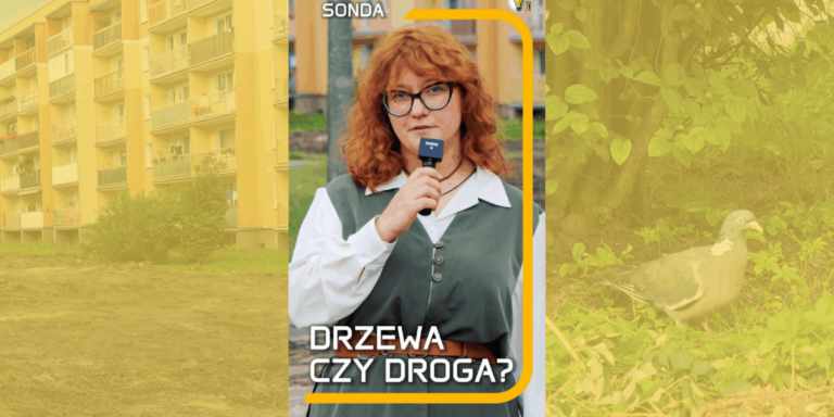 Zieleń znika z osiedla. Co mówi spółdzielnia?