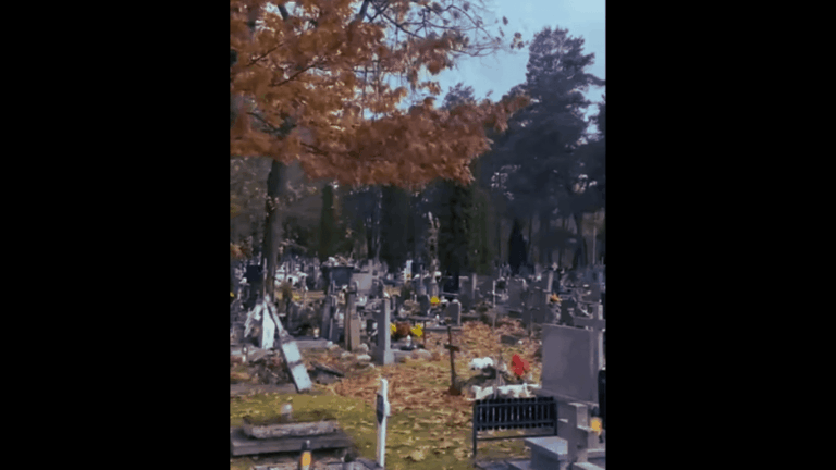 Pamięć, która nie gaśnie